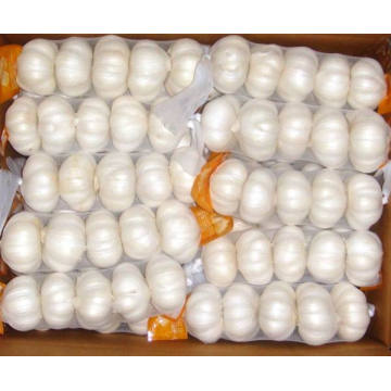 2015 New Crop Small Mesh Bag Packing Pure White Garlic
